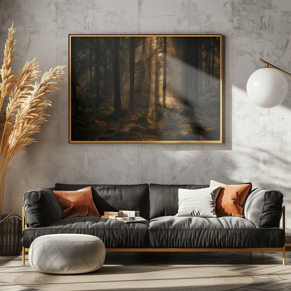 The light in the forest | Poster