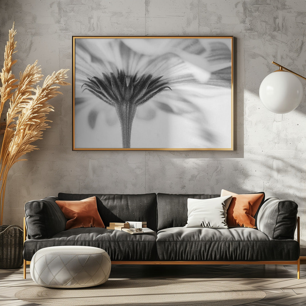 Touched | Canvas