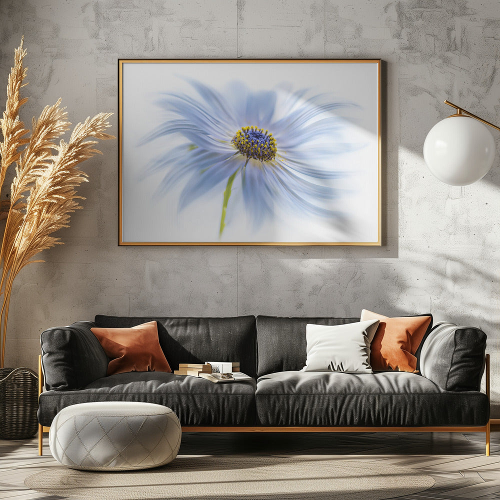 Daisy delight | Poster