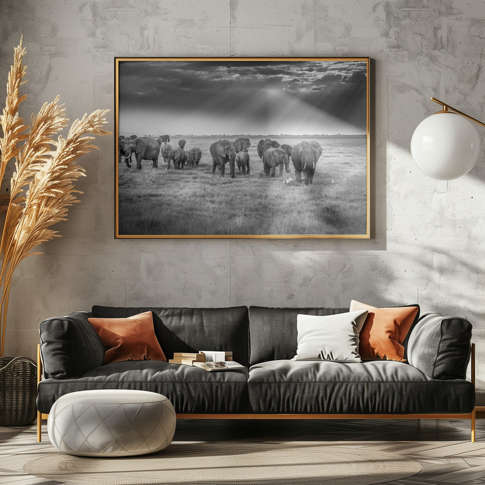 Breakfast with pachyderms | Poster