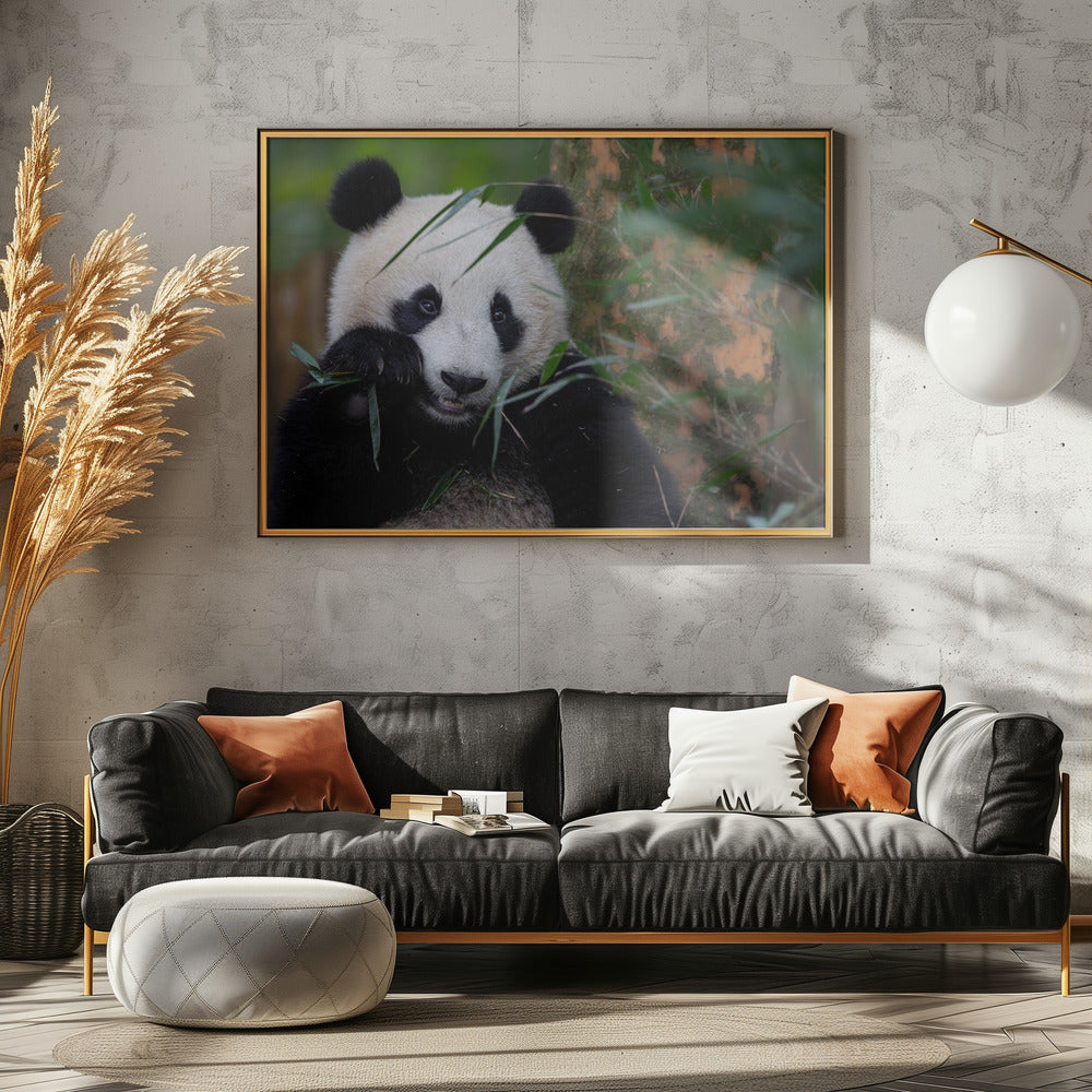Bamboo Time | Poster