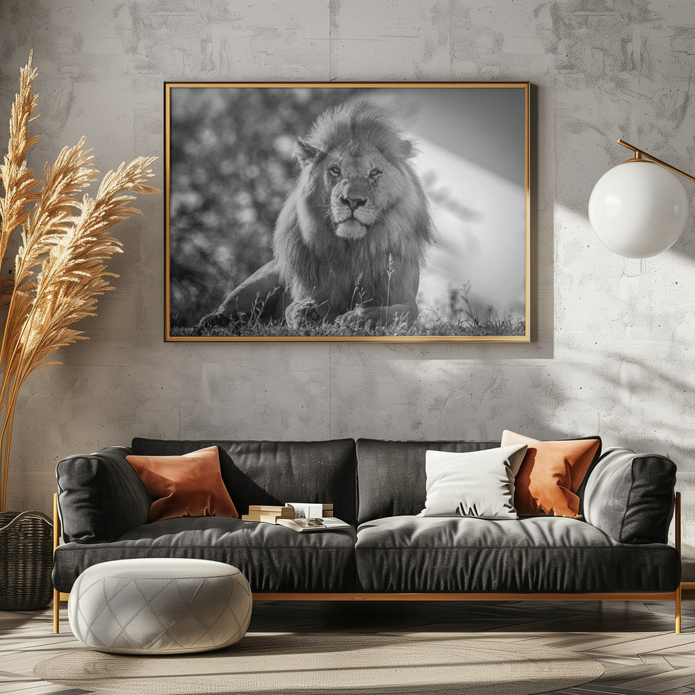 Monochromatic lion king | Poster