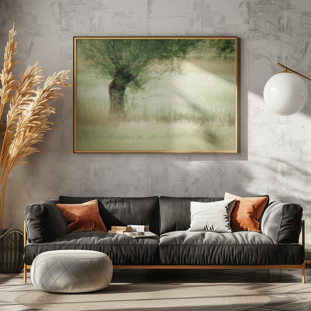 Willow | Canvas
