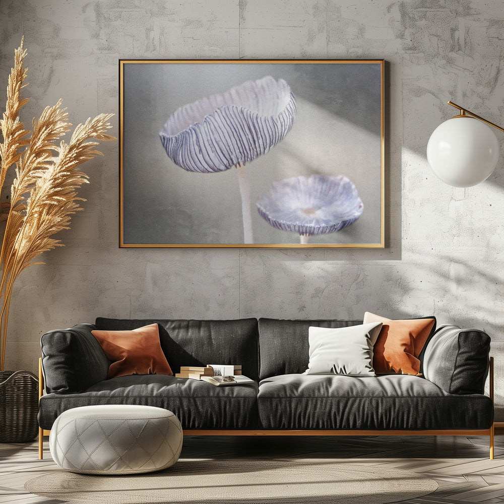 mushroom | Canvas