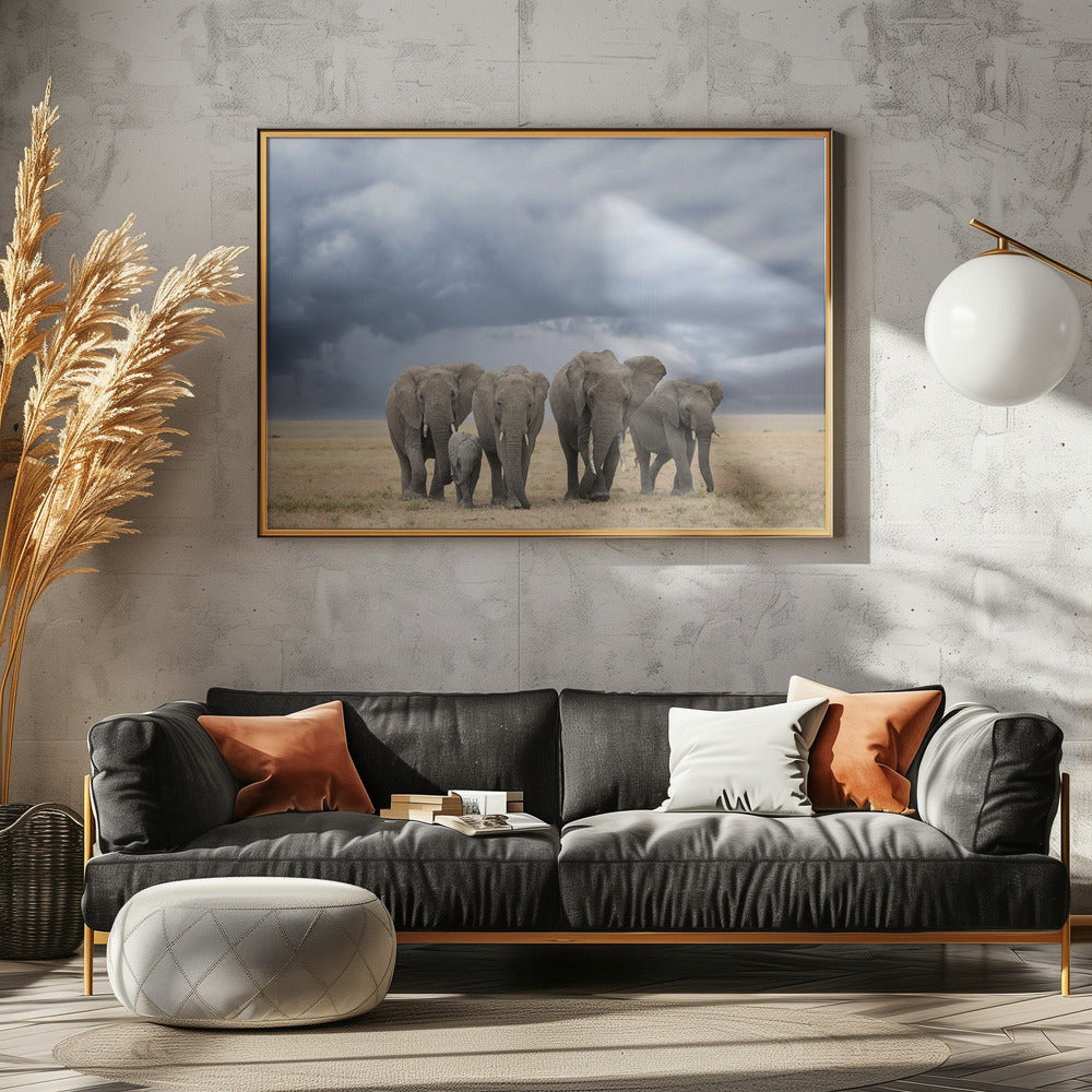 Elephant Walk | Poster