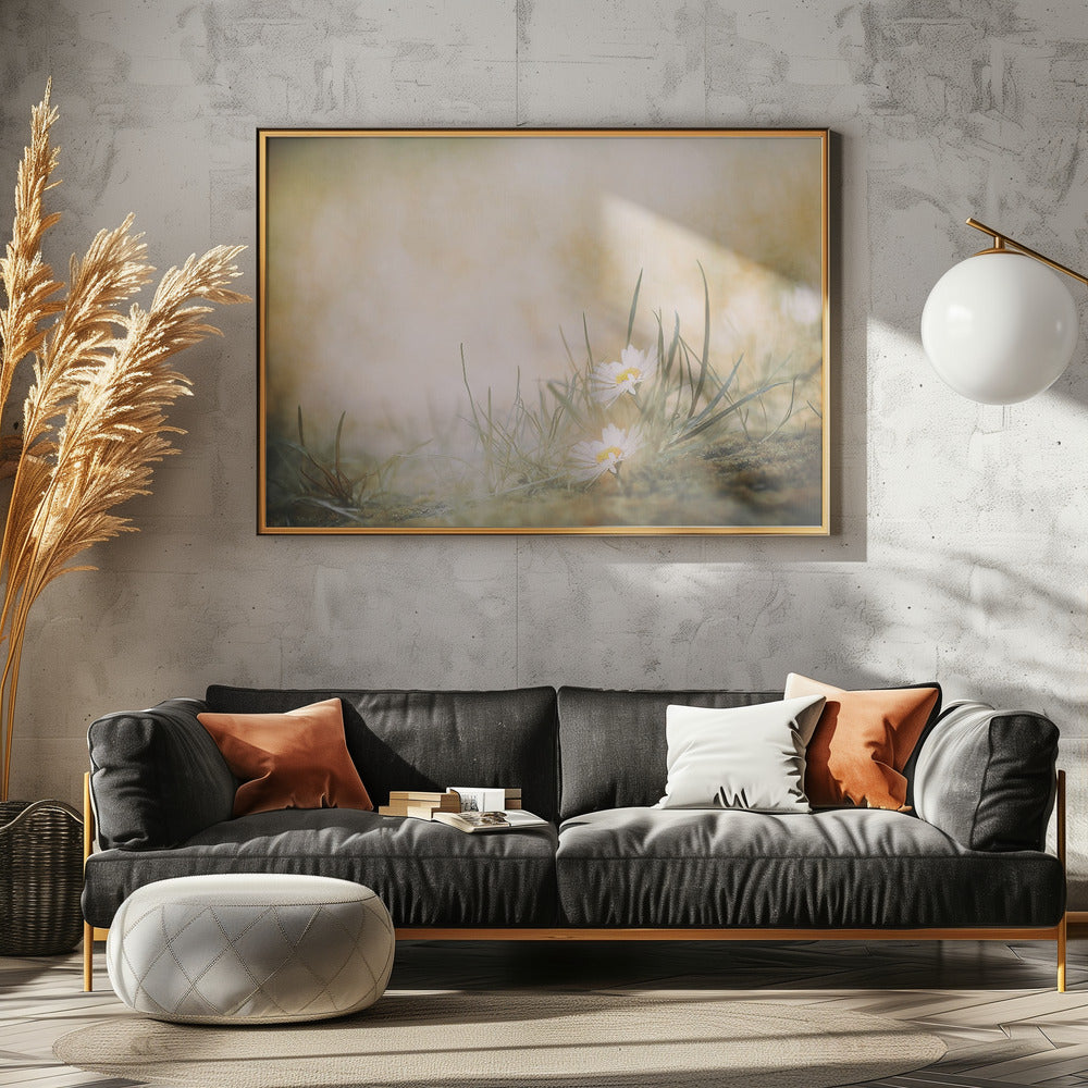 Untitled | Canvas