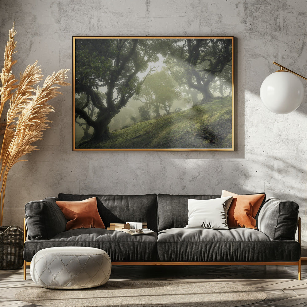 Enchanted Forest | Canvas