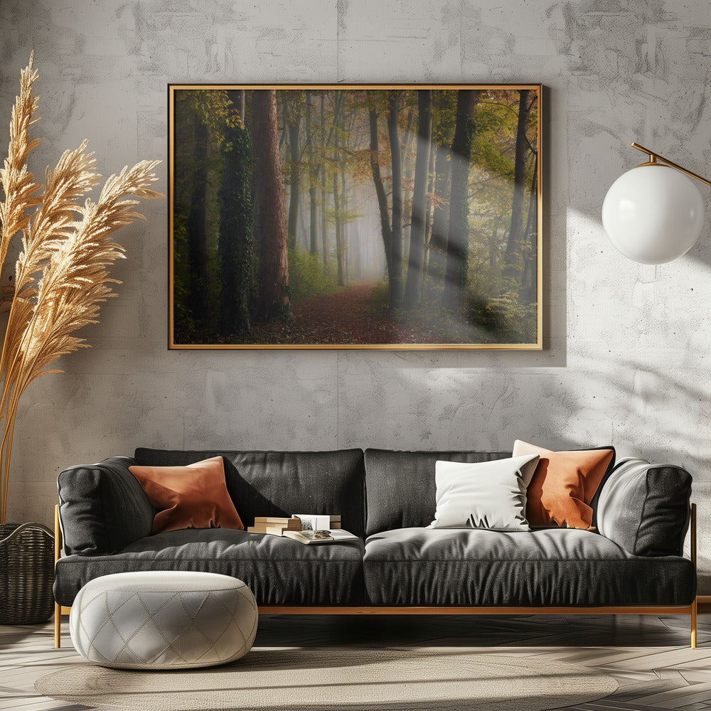 Autumn colorful forest | Canvas