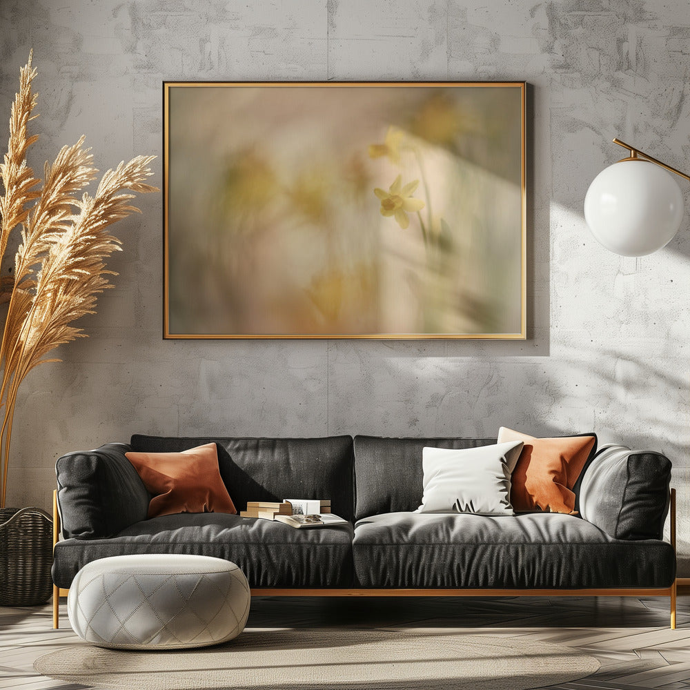 Daffodils | Poster