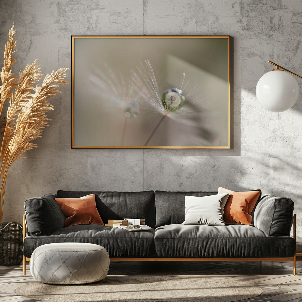 Star of dandelion | Canvas