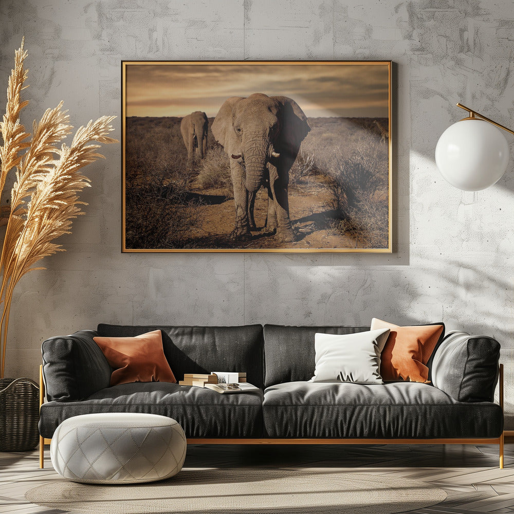 Big | Canvas