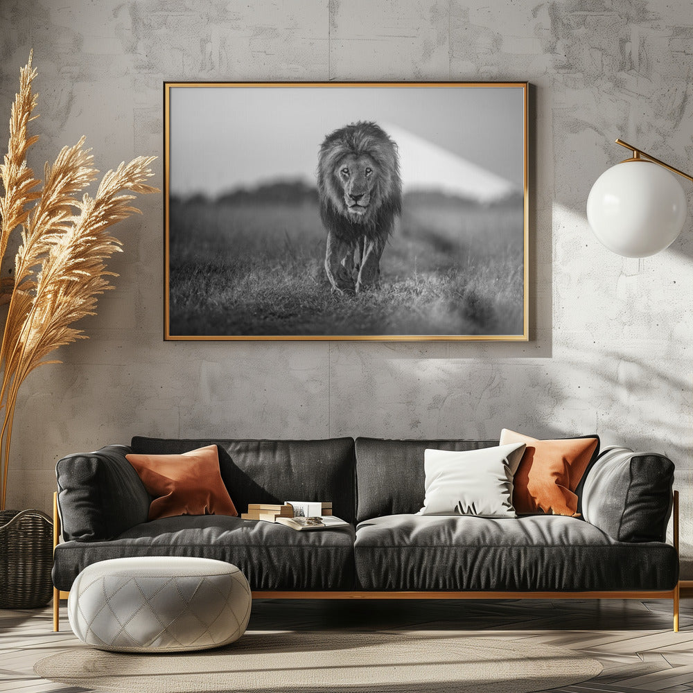 Old boy | Canvas