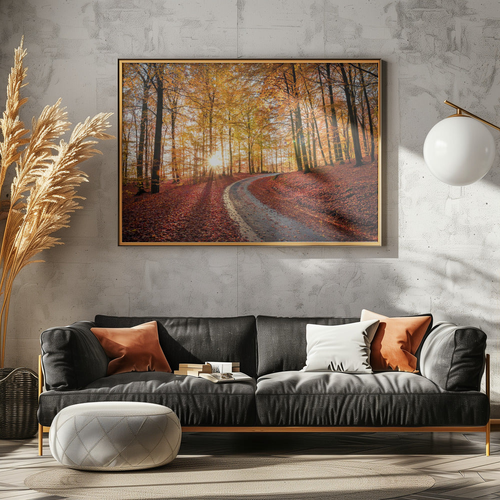 Road in Söderåsen nationalpark, Sweden | Canvas