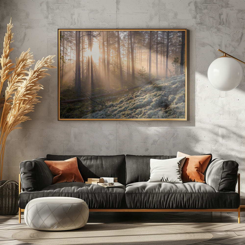 Fog in the forest with white moss in the forground | Poster