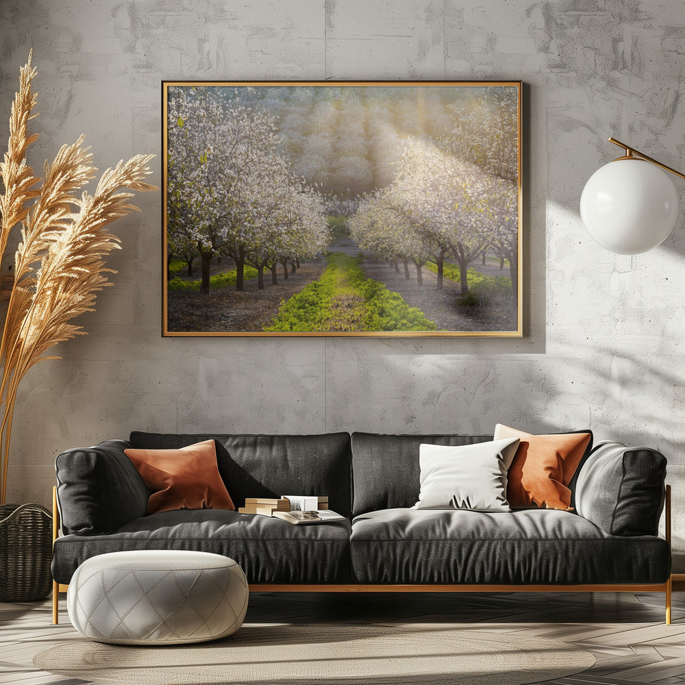 Golden Almonds | Canvas