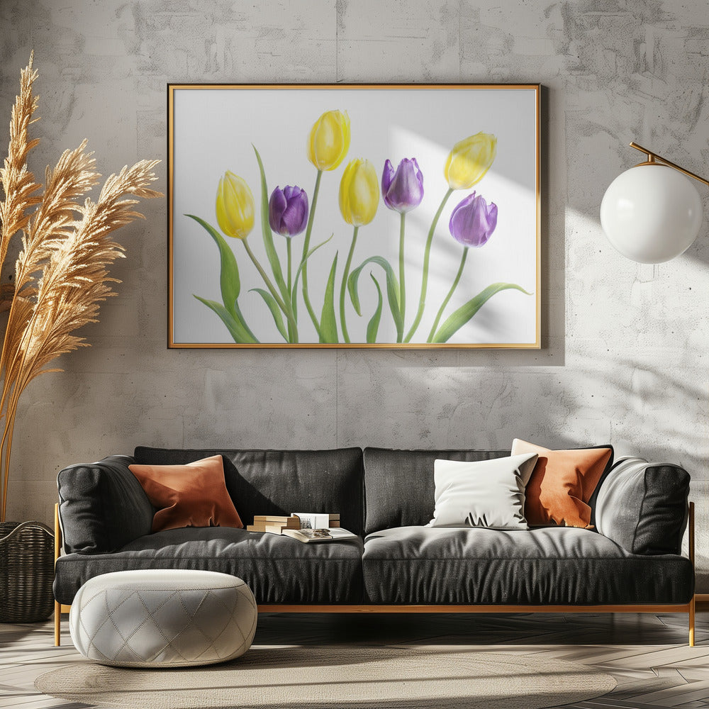 Tulip | Poster
