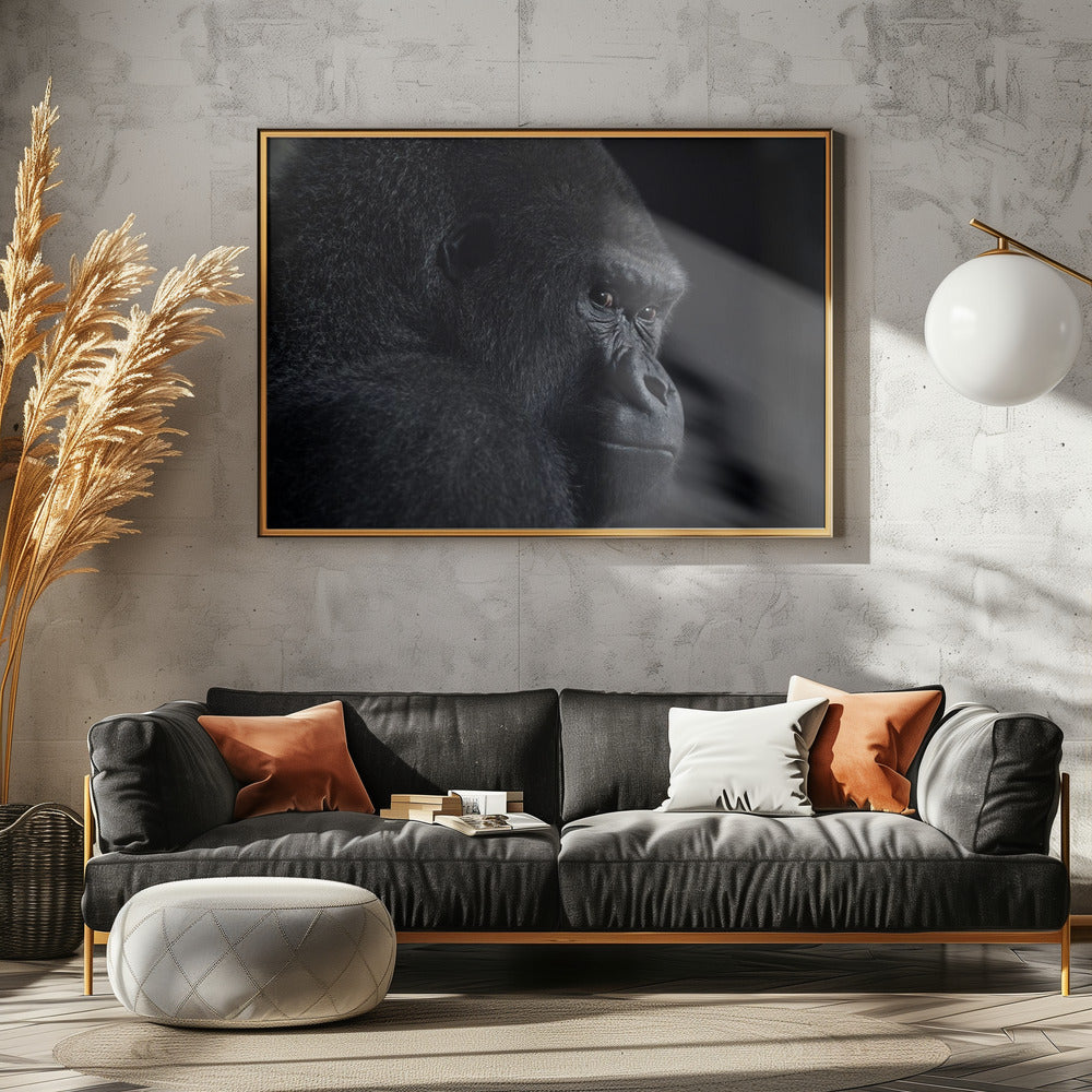 gorilla gaze | Poster