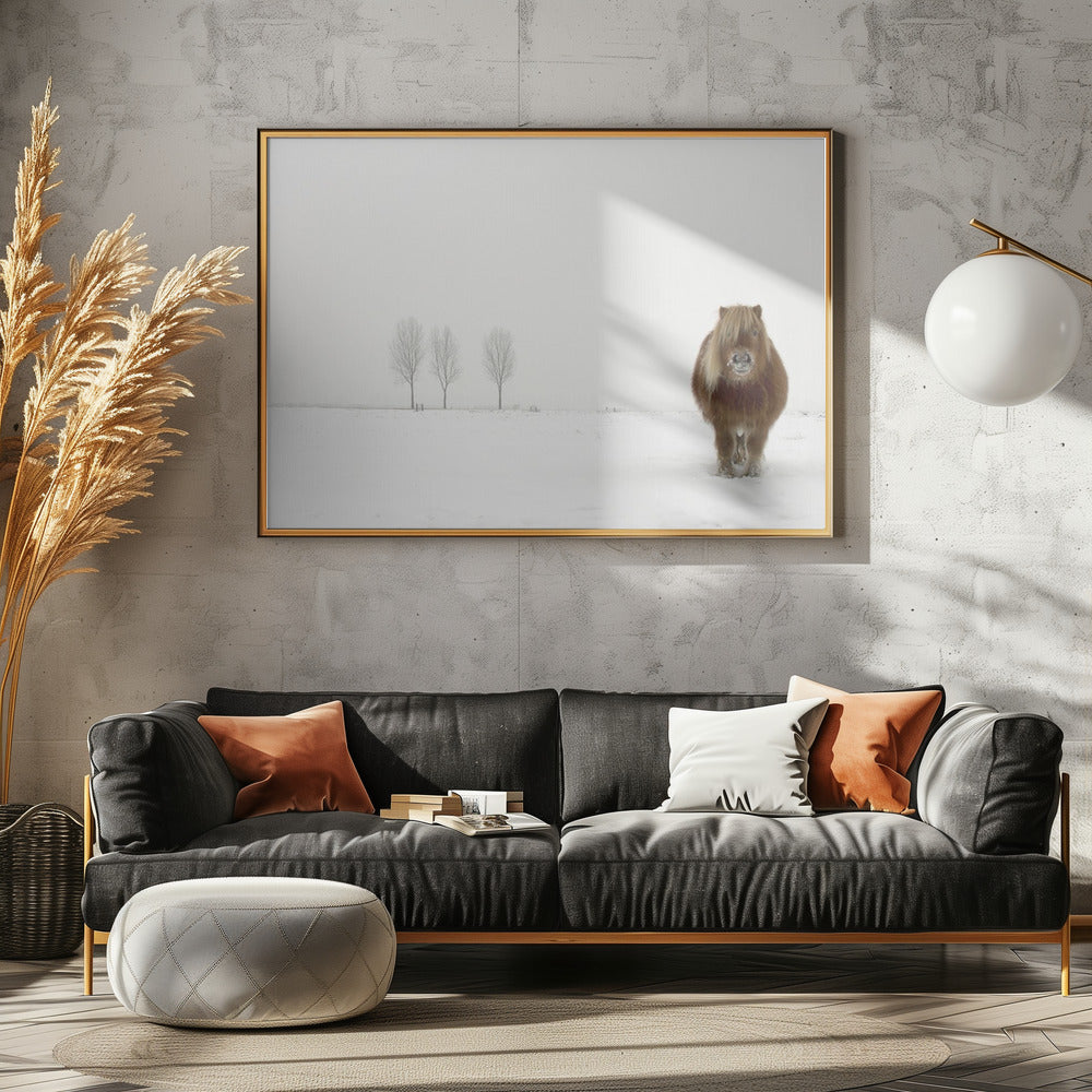 The cold pony | Canvas