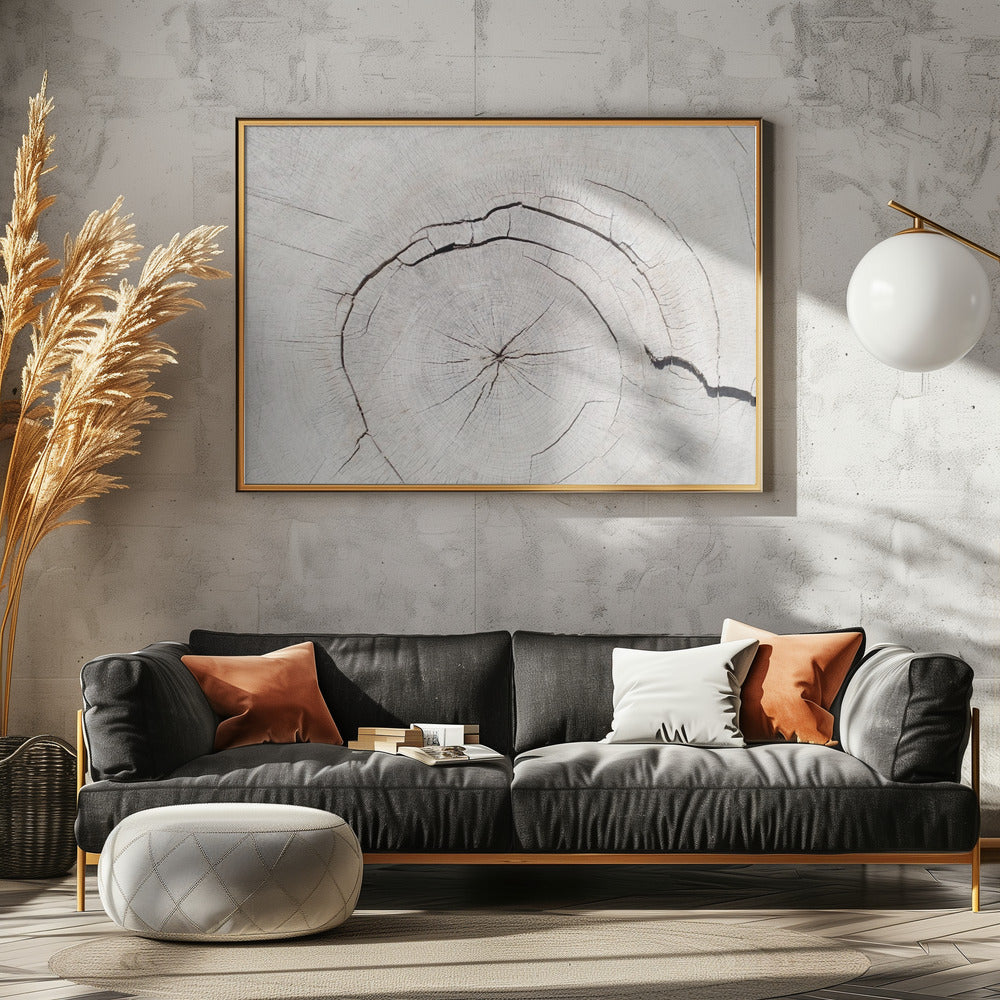 Texture 05 | Canvas