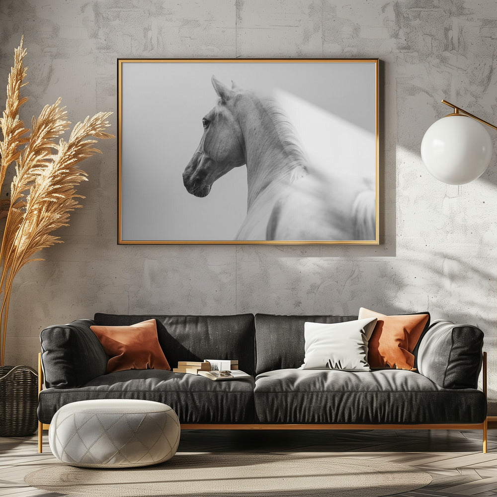 a short story about a shorn horse | Poster