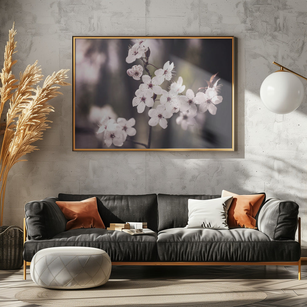 Blossoms | Poster