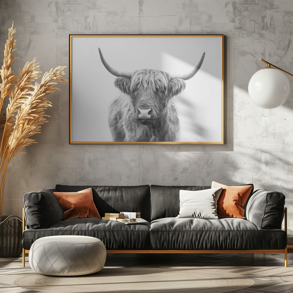 Highland Bull | Poster