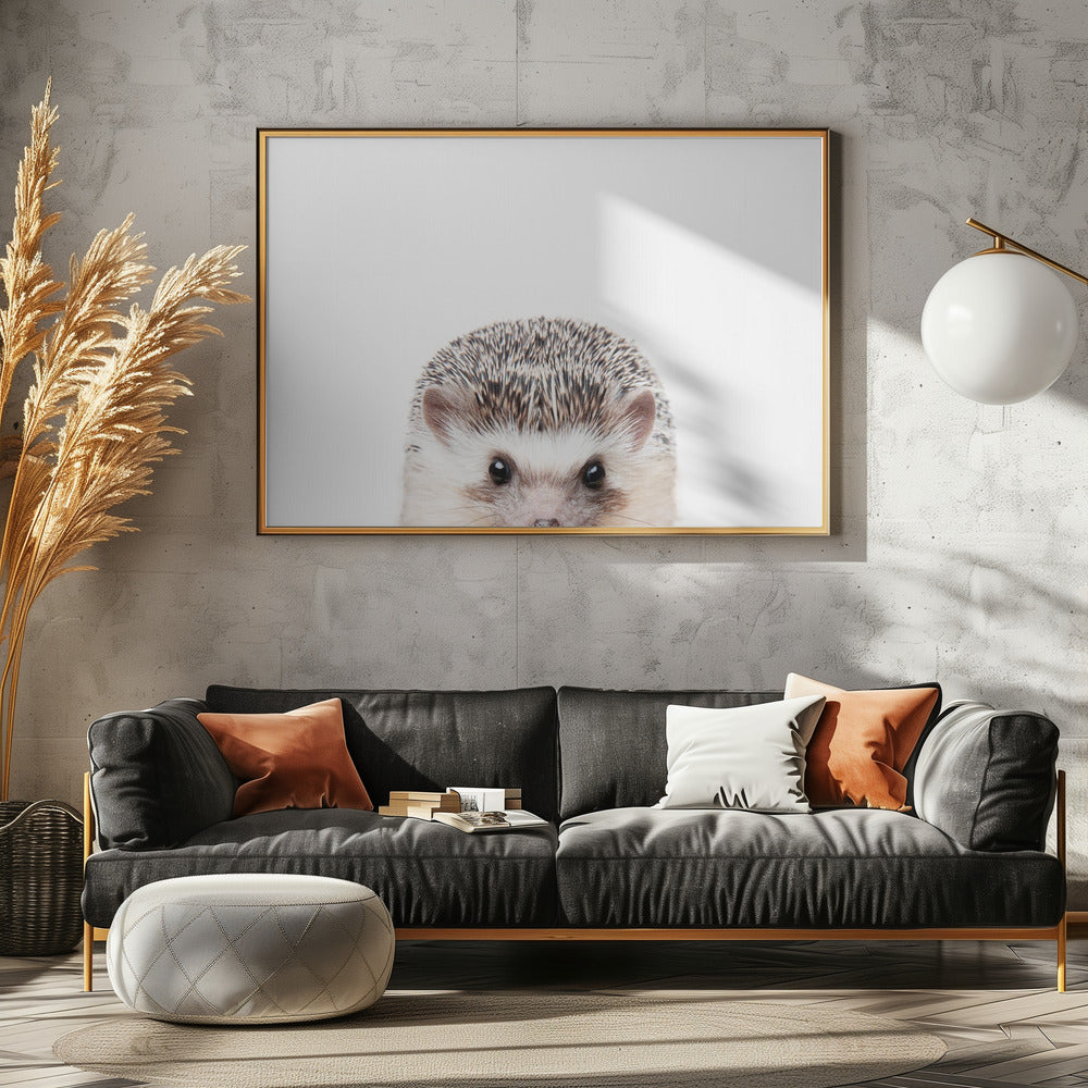 Peeking Hedgehog | Poster