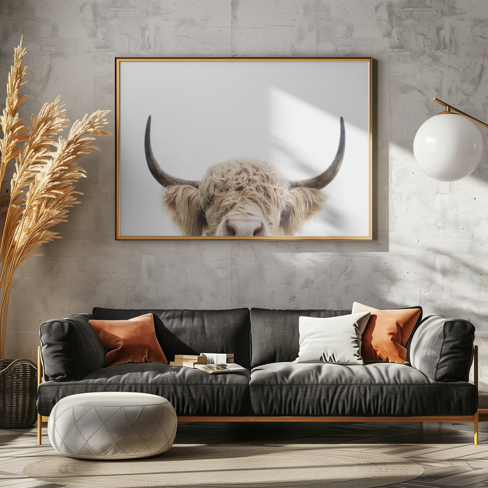 Peeking Cow | Canvas