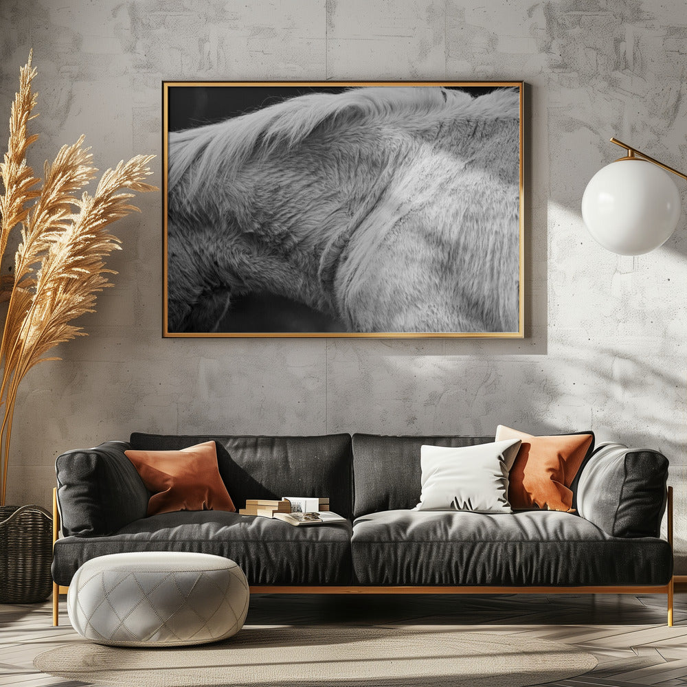 Horse II | Canvas