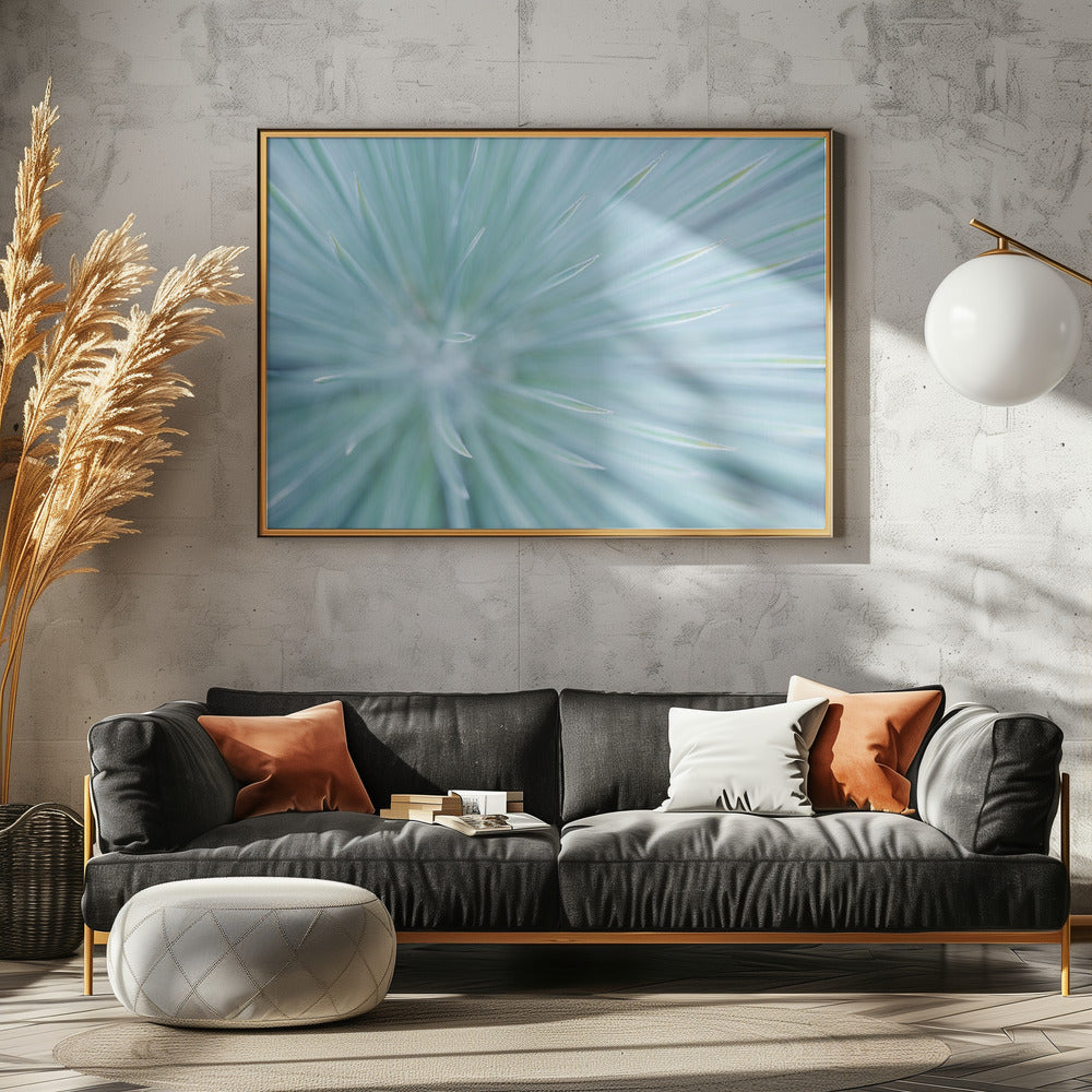 Soft Spikes | Poster