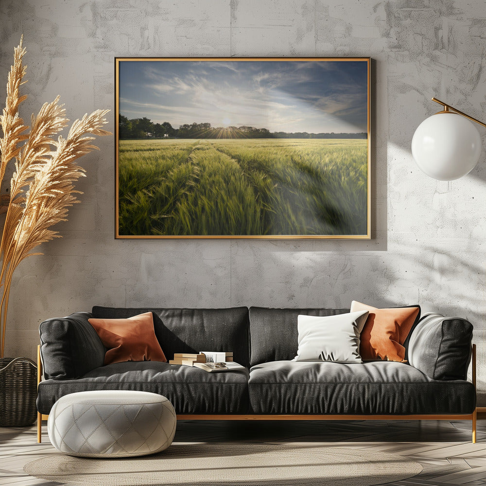 Barley Meadow | Poster