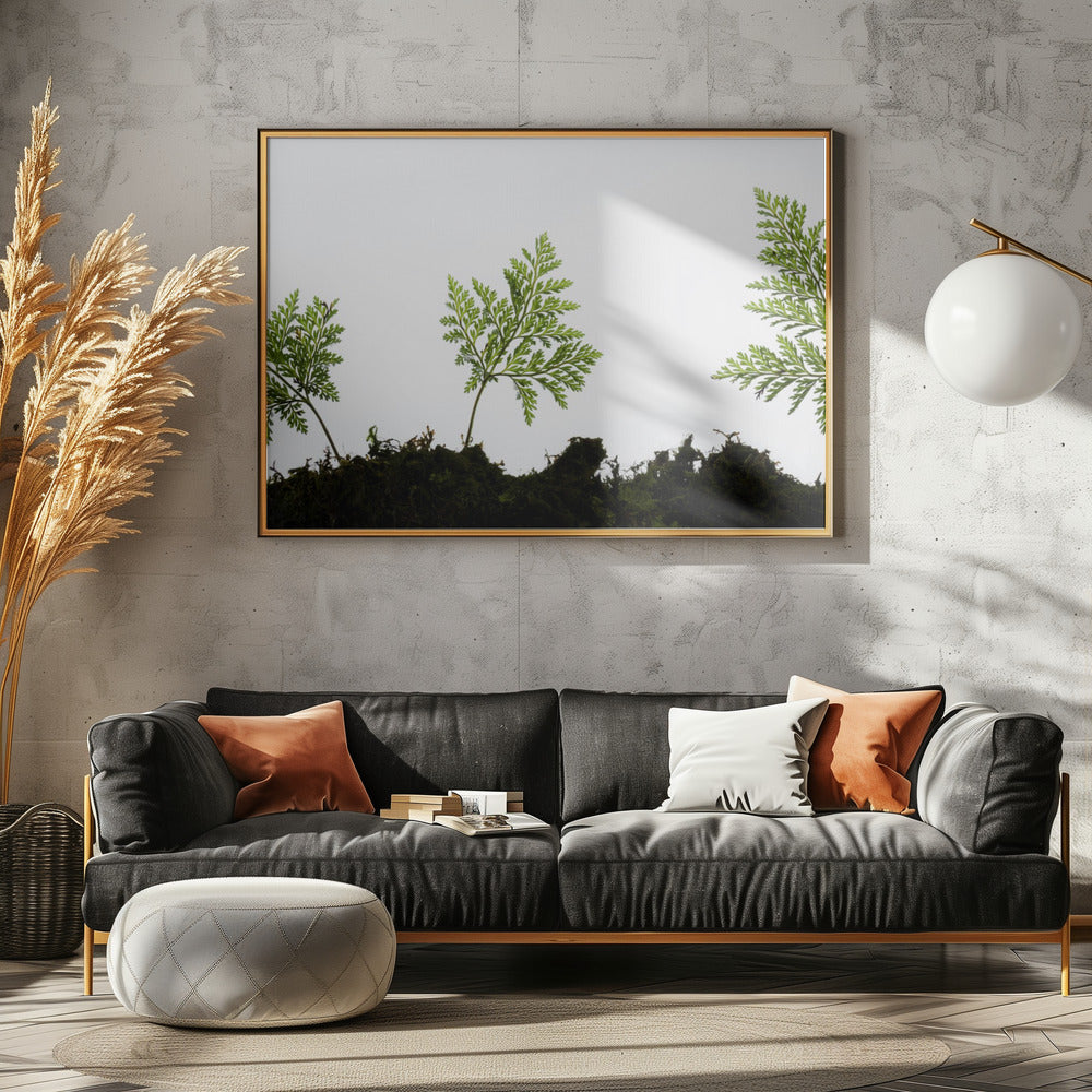 Fern Detail | Poster
