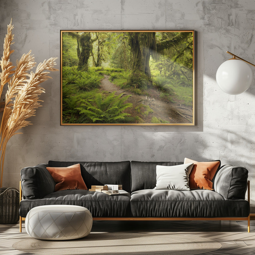 Hoh Rainforest | Canvas