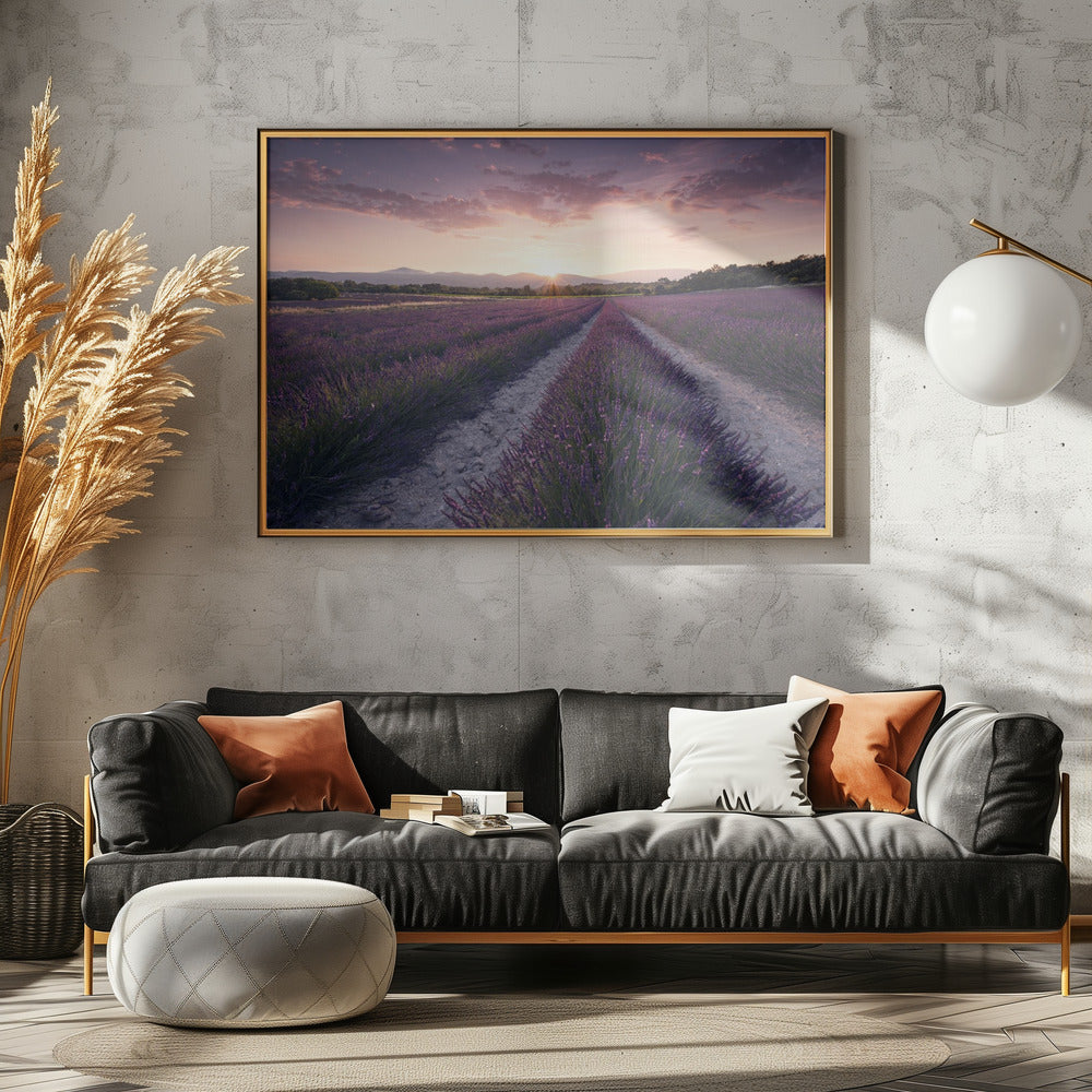 Purple Provence | Canvas