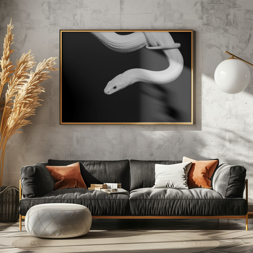 Serpent Blanc | Canvas
