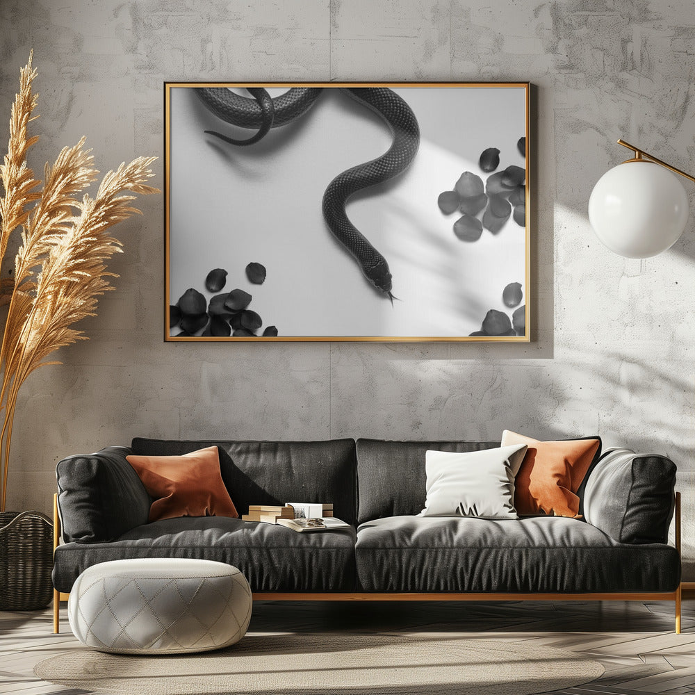 Black Snake Roam | Poster