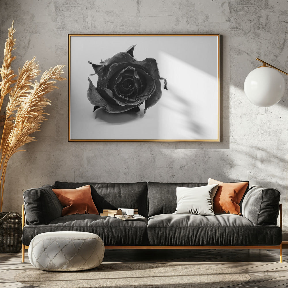 Rose Noir | Poster