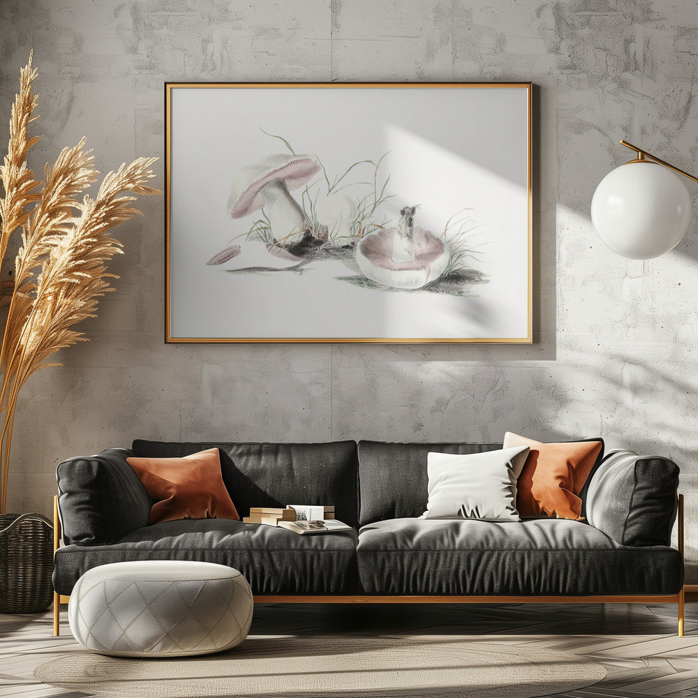 Hand Drawn Field Mushroom | Canvas