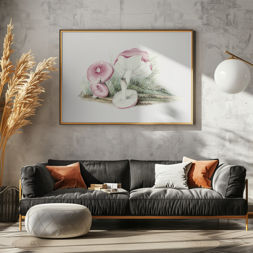 Vintage Russula Emetica Mushroom | Poster