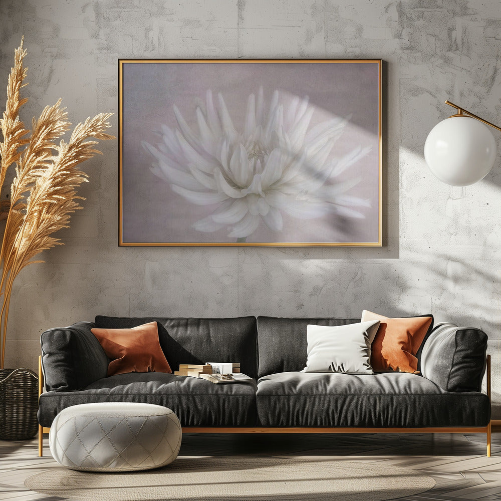 White | Canvas