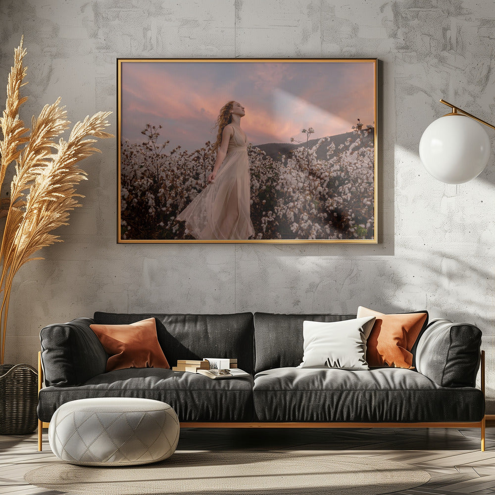 Sunset in the cotton field | Poster
