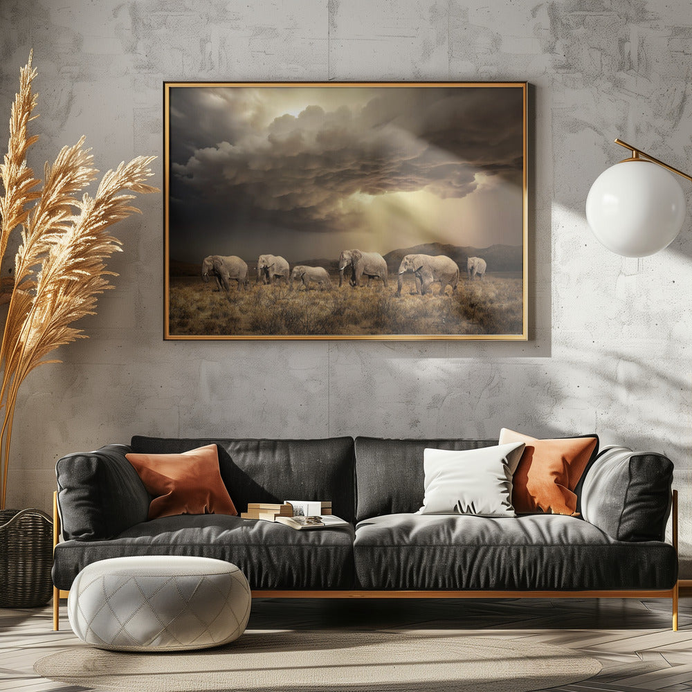 FreeElephants | Canvas