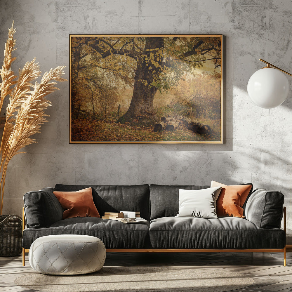 Old tree | Poster