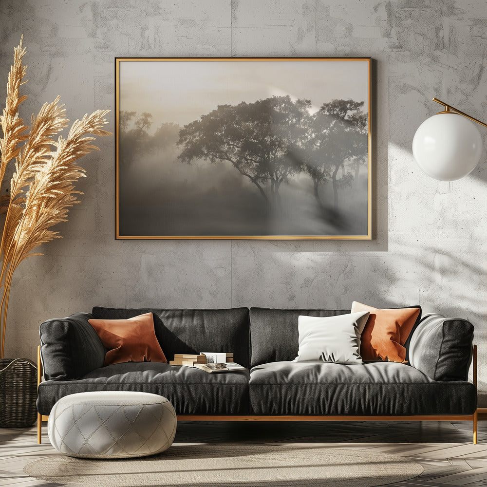 SAVANA SUNRISE | Poster