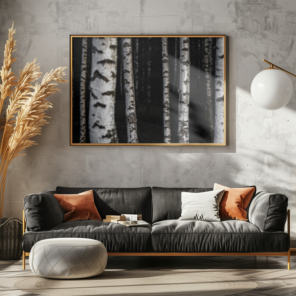 Birch Trees 8 | Canvas