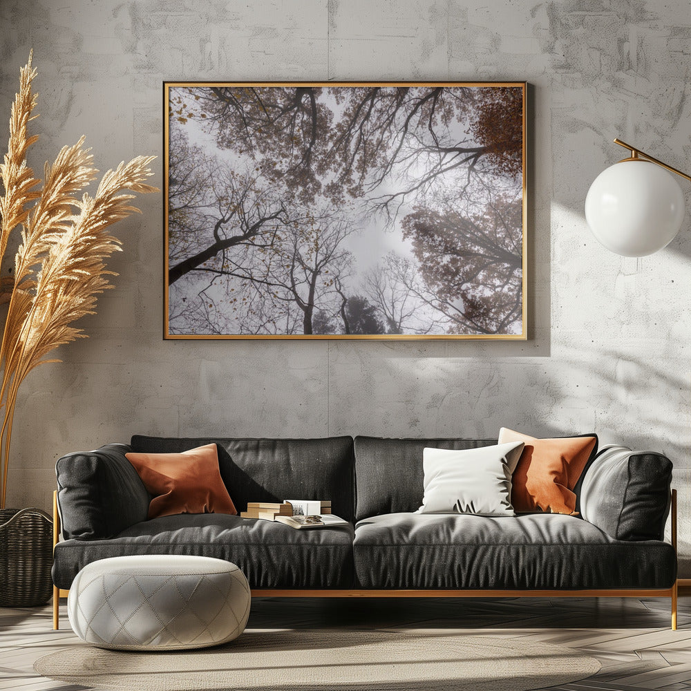 Looking Up 2 | Canvas