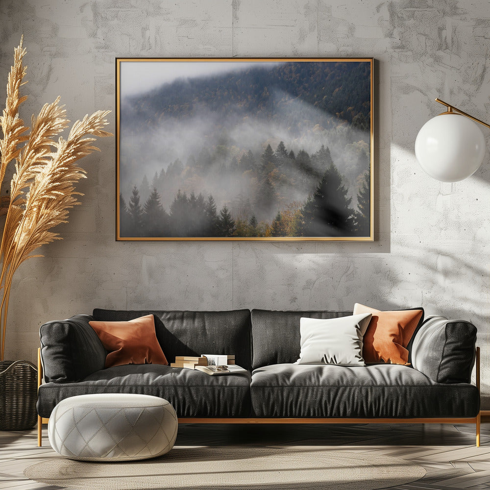 Foggy Woods 9 | Canvas