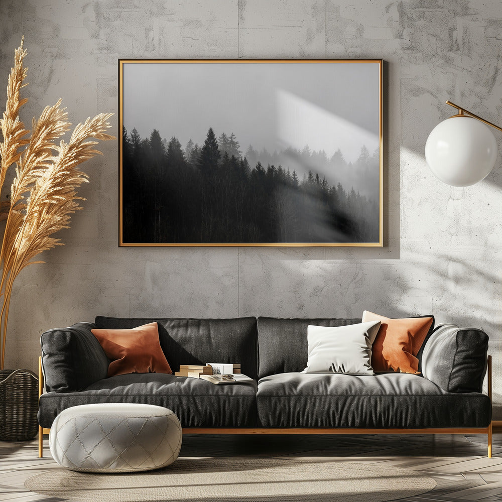 Foggy Woods 7 | Canvas