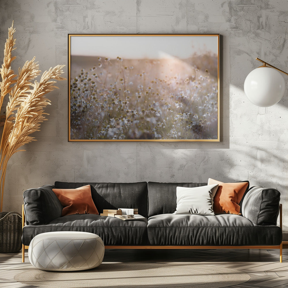 Summer Morning 7 | Canvas