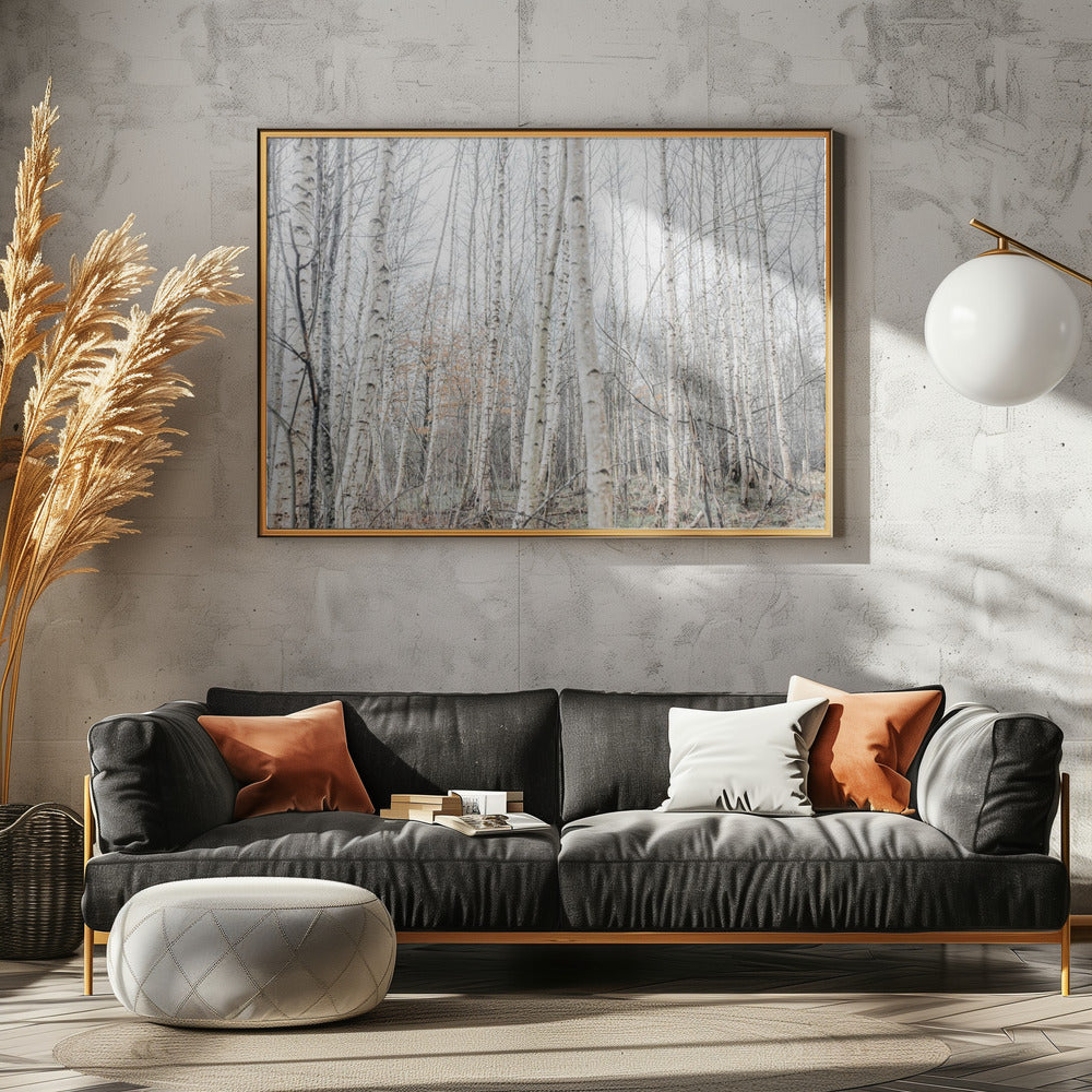 Birch Trees 9 | Canvas